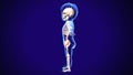 3d illustration of baby skeleton anatomy